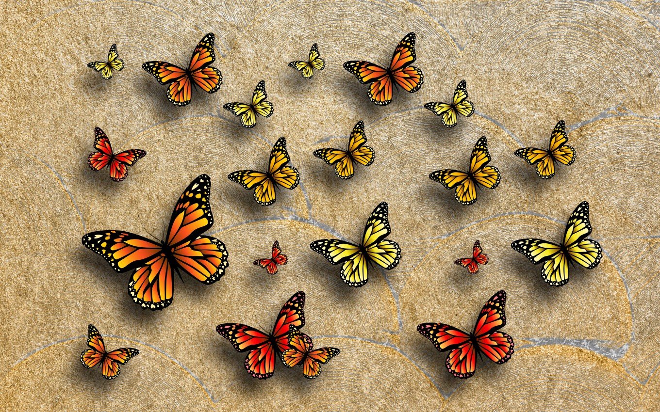 What’s about the area where people use this as a royal?